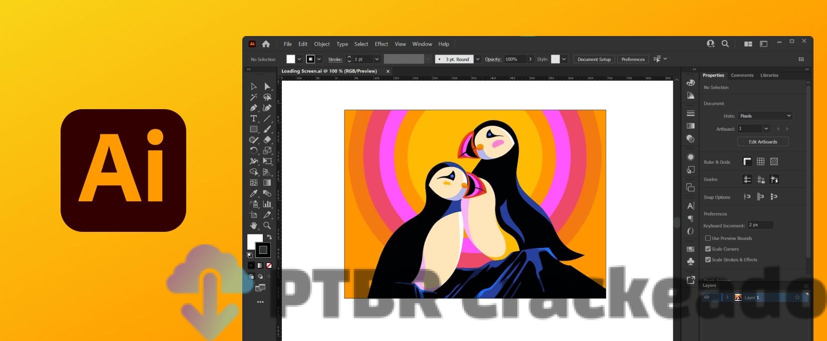 Adobe Illustrator rachado