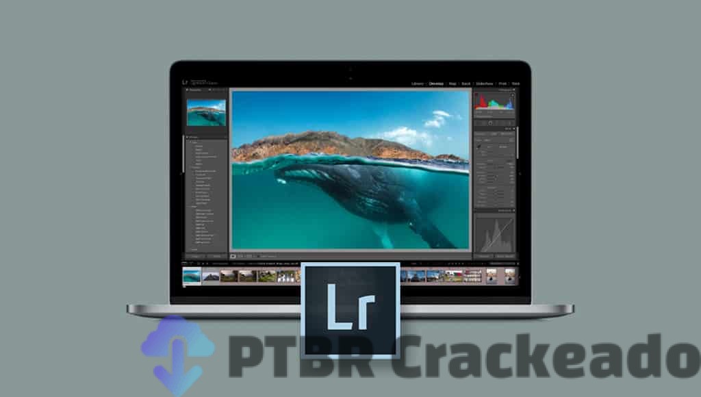 programa adobe photoshop lightroom