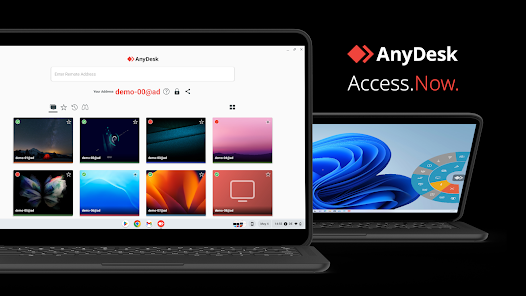 anydesk pro